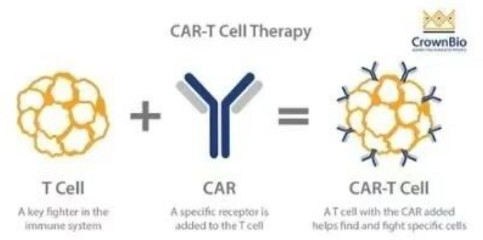 抗癌新突破！国内首创CAR-T上市，为淋巴瘤患者迎来曙光！