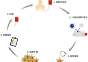 抗癌新突破！国内首创CAR-T上市，为淋巴瘤患者迎来曙光！