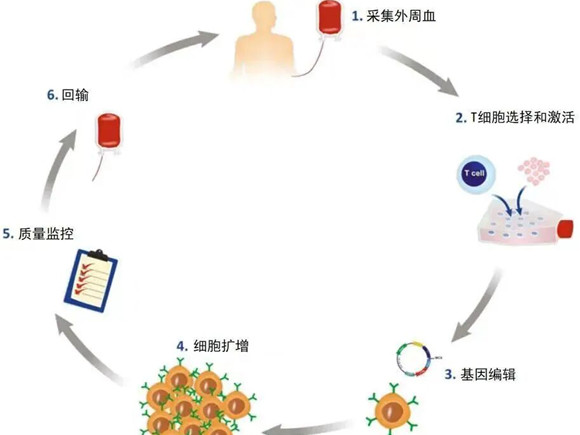 医院新闻