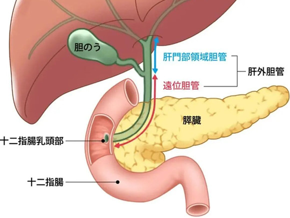 医院新闻